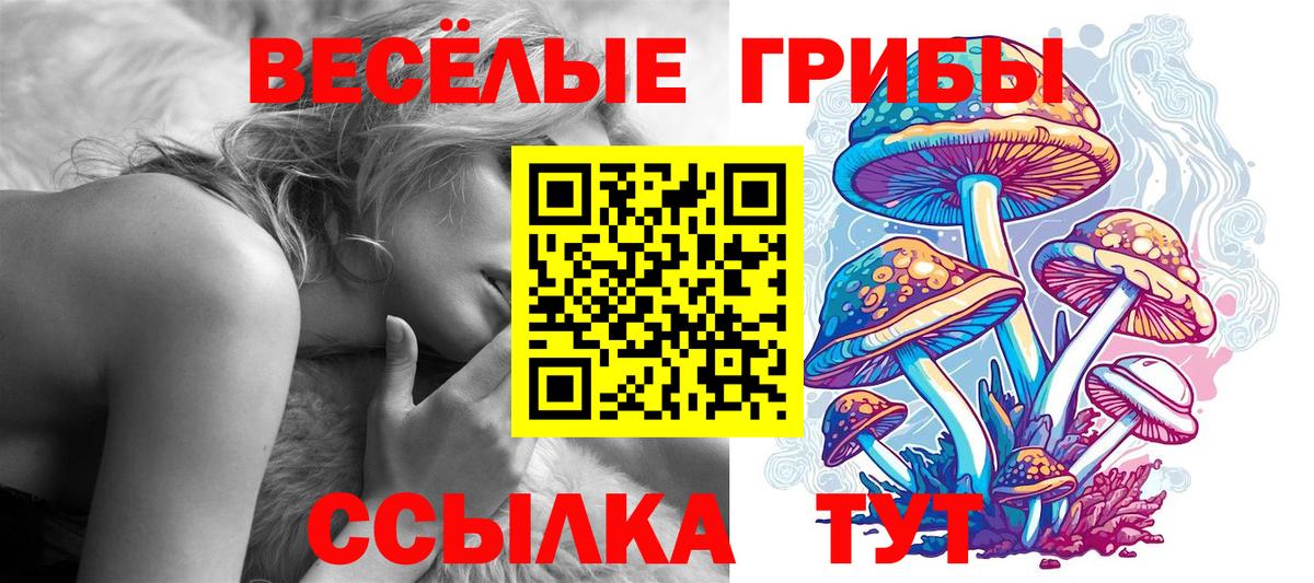 Подольск  Галлюциногенные грибы ЛСД  Псилоцибиновые грибы MAGIC MUSHROOMS  Вход с VPN 